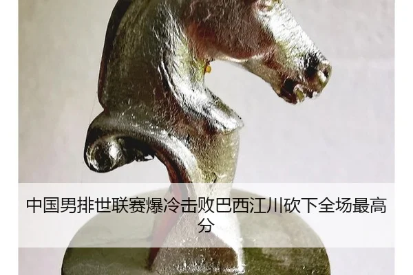 zhong-guo-nan-pai-shi-lian-sai-bao-leng-ji-bai-ba-xi-jiang-chuan-kan-xia-quan-chang-zui-gao-fen-3-378.jpg