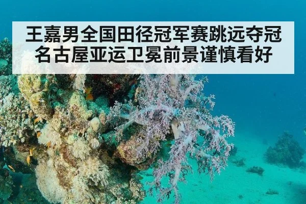王嘉男全国田径冠军赛跳远夺冠 名古屋亚运卫冕前景谨慎看好