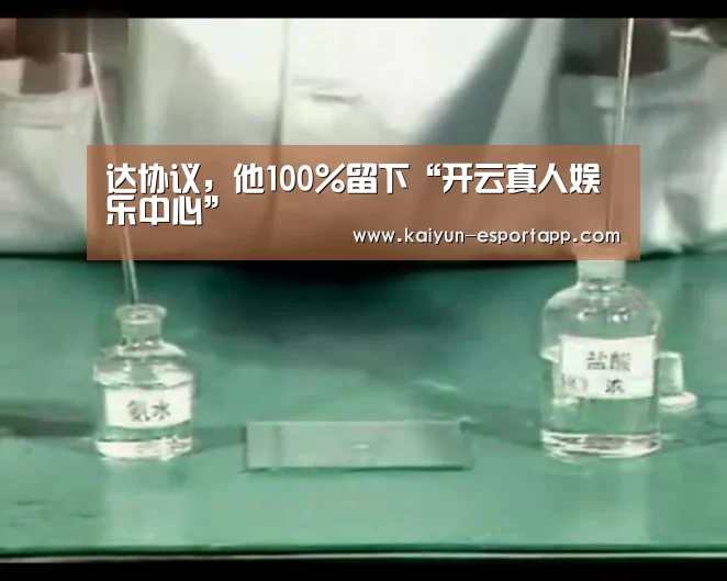 达协议，他100%留下“开云真人娱乐中心”