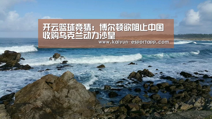 开云电竞APP