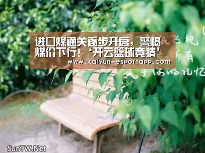 进口煤通关逐步开启,警惕煤价下行!‘开云篮球竞猜’(图3) 开云电竞APP