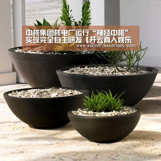 开云真人娱乐中心