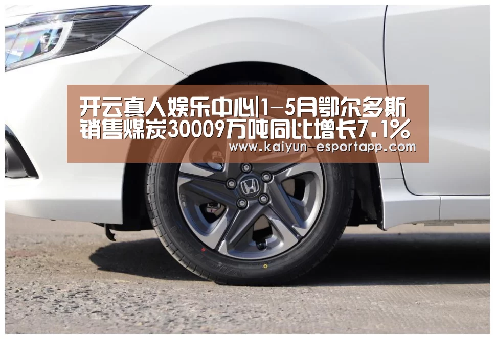 开云真人娱乐中心