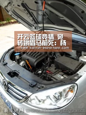 开云真人娱乐中心